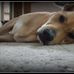 Candace Camp - Facebook