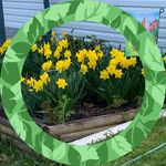 Candace Carr - @candacecarr6064 - Instagram