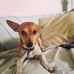 Candace Chang - Facebook