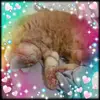 Candace Clayton - @candace.clayton3 - TikTok