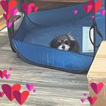 Candace Perry Cooke - @jeepishc - Instagram