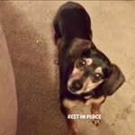 Candace Cunningham - @_._its_yanka_._ - Instagram