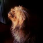 Candy - @candacedaily_ - Instagram