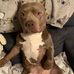 Candis Dickerson - Facebook