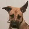 cadence.diehl - @cadence.diehl - TikTok