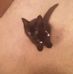 Candace Dittmer - Facebook