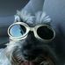 Candace Dodd - Facebook