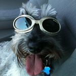 Candace Dodd - @the_candycan_can - Instagram