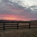 Candace Dodson - Facebook