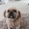 candacedoherty1 - @candacedoherty1 - TikTok
