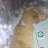 Candace Doyle - @candace.doyle3 - TikTok