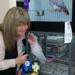 Candace Dunn - @inthewingaviary - Instagram