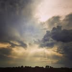 Candace Dunson Photography - @candacedunsonphotography - Instagram