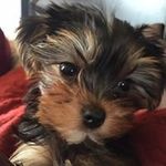 Candace Ellison - @ellisoncandace - Instagram