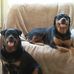 Candice Gillespie - Facebook