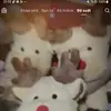 Phan Thị Kim Chi - @candacegordon33 - TikTok