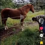 Amanda Brooks - @candacehagar20 - Instagram