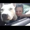 deafgirlcandie - @candacehager3 - TikTok