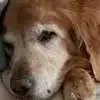 Candace Hale - @candace.hale91 - TikTok