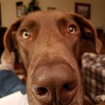 Candace Haley - @rlm_mom_03 - Instagram