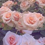 Candace Hester - Facebook