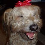 Candace Bennett-Harris - @candace_harris_2007 - Instagram