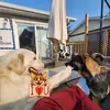 Candace Harrison - @candace.harrison77 - TikTok
