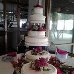 Candace Harrison - @candaceharrison4678 - Instagram