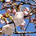 Candace Hatcher - Facebook