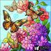 Candace Hess - Facebook