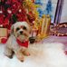 Candace Nicole - Facebook