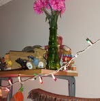 Candy Holbrook - Facebook