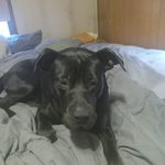 Candace Laughlin - @candace.laughlin.73 - Instagram