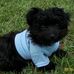 Candace Lowder - Facebook