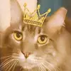 Candace Lukens - @candace.lukens - TikTok