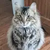 michellecandacema - @michellecandacema - TikTok