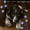 Candace Marley - @candace.marley - TikTok