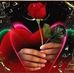 Marlow Candace - Facebook
