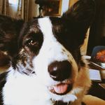 Candace Mathews - @canmathews - Instagram