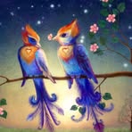 Candace Matos - Facebook