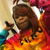 Candace Mayfield - @truly_danae - TikTok