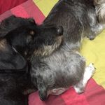Maynard, Candace Y Pizzi - @maynard.candace.pizzi - Instagram