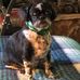 Candace Mccoy - Facebook