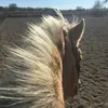 ❥ Candace Mclean Burrows  - @_.cmburrows03._ - TikTok