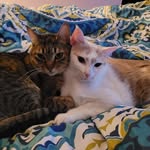 Candace McLean - @candace2003 - Instagram