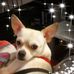 Candace Moreno - Facebook