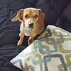Candace Morrison - @candace.morrison - TikTok