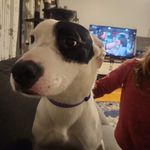 Candice Mosher - @candicemosher - Instagram