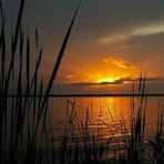 Candace Ann Murphy - Facebook