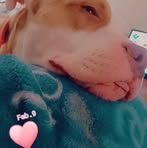 Candace Murphy - Facebook